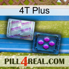 4T Plus 37